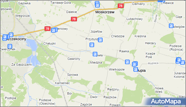 mapa Wywła, Wywła na mapie Targeo