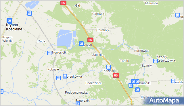 mapa Zalesie gmina Dobrzyniewo Duże, Zalesie gmina Dobrzyniewo Duże na mapie Targeo