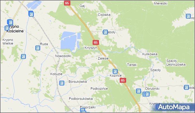 mapa Zalesie gmina Dobrzyniewo Duże, Zalesie gmina Dobrzyniewo Duże na mapie Targeo