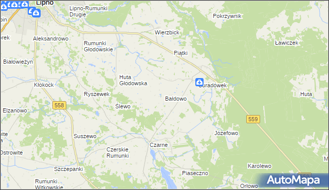 mapa Bałdowo gmina Wielgie, Bałdowo gmina Wielgie na mapie Targeo