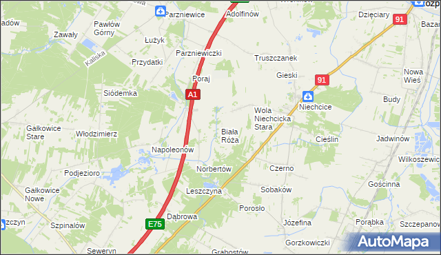 mapa Biała Róża gmina Rozprza, Biała Róża gmina Rozprza na mapie Targeo