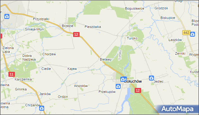 mapa Bielawy gmina Gołuchów, Bielawy gmina Gołuchów na mapie Targeo