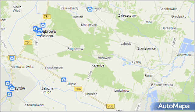 mapa Borowce gmina Dąbrowa Zielona, Borowce gmina Dąbrowa Zielona na mapie Targeo