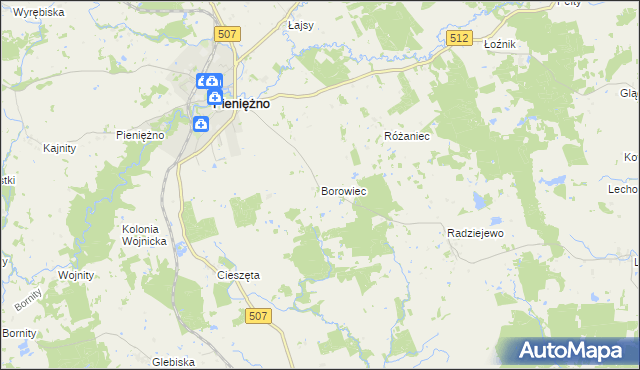 mapa Borowiec gmina Pieniężno, Borowiec gmina Pieniężno na mapie Targeo