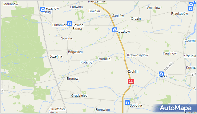 mapa Borucin gmina Pleszew, Borucin gmina Pleszew na mapie Targeo