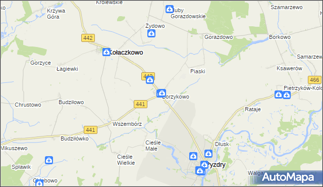 mapa Borzykowo gmina Kołaczkowo, Borzykowo gmina Kołaczkowo na mapie Targeo