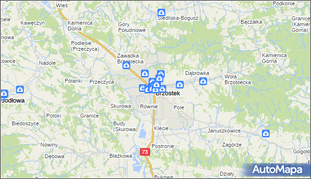 mapa Brzostek powiat dębicki, Brzostek powiat dębicki na mapie Targeo