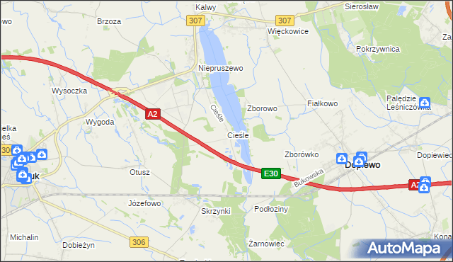 mapa Cieśle gmina Buk, Cieśle gmina Buk na mapie Targeo