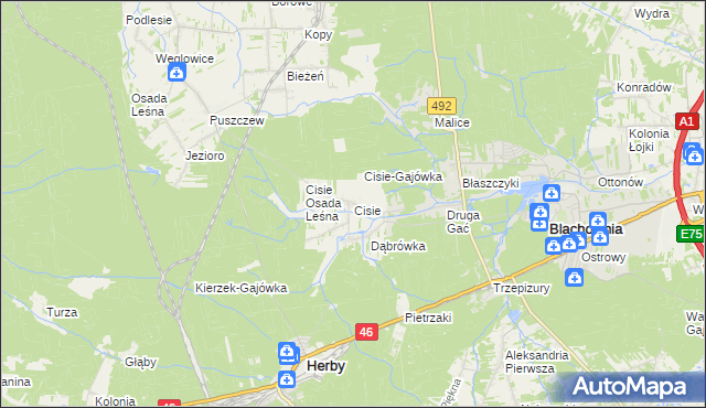 mapa Cisie gmina Blachownia, Cisie gmina Blachownia na mapie Targeo