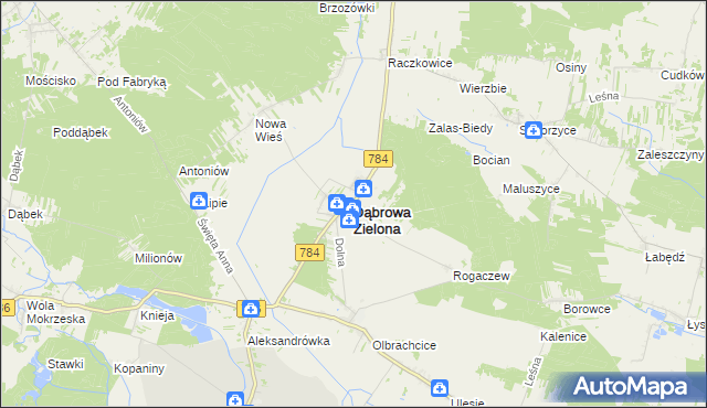 mapa Dąbrowa Zielona, Dąbrowa Zielona na mapie Targeo