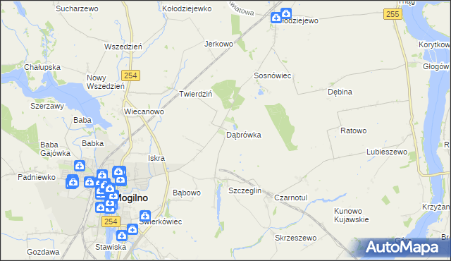 mapa Dąbrówka gmina Mogilno, Dąbrówka gmina Mogilno na mapie Targeo