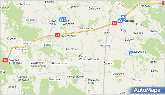 mapa Dęby Wolskie, Dęby Wolskie na mapie Targeo