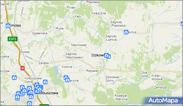 mapa Dzikowiec powiat kolbuszowski, Dzikowiec powiat kolbuszowski na mapie Targeo