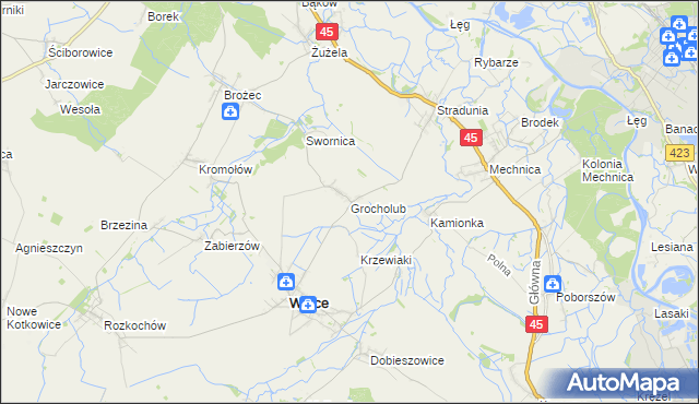 mapa Grocholub, Grocholub na mapie Targeo