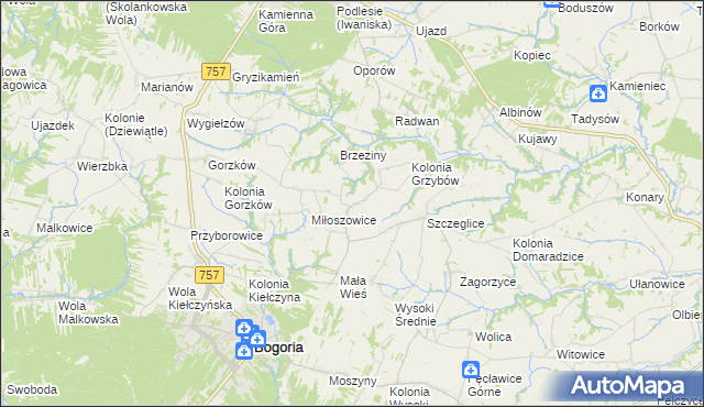 mapa Grzybów gmina Bogoria, Grzybów gmina Bogoria na mapie Targeo