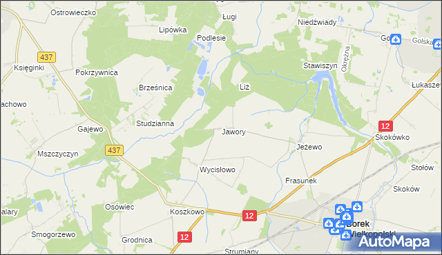 mapa Jawory gmina Borek Wielkopolski, Jawory gmina Borek Wielkopolski na mapie Targeo