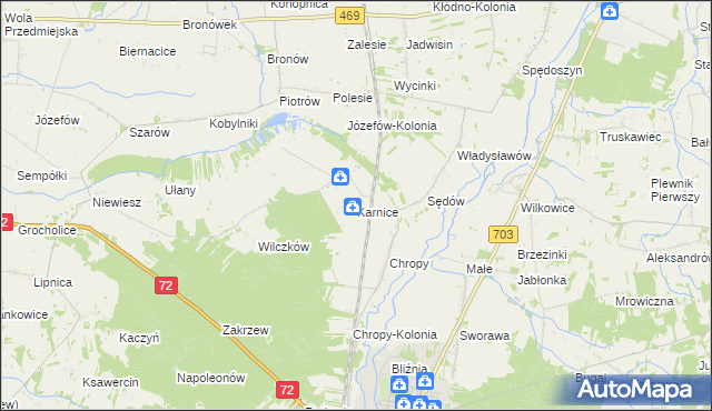 mapa Karnice gmina Poddębice, Karnice gmina Poddębice na mapie Targeo