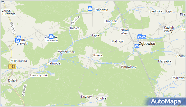 mapa Knieja gmina Zębowice, Knieja gmina Zębowice na mapie Targeo