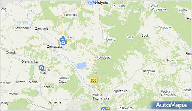 mapa Kołodziąż gmina Wodynie, Kołodziąż gmina Wodynie na mapie Targeo