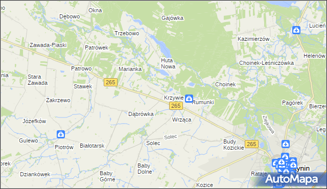 mapa Krzywie gmina Gostynin, Krzywie gmina Gostynin na mapie Targeo