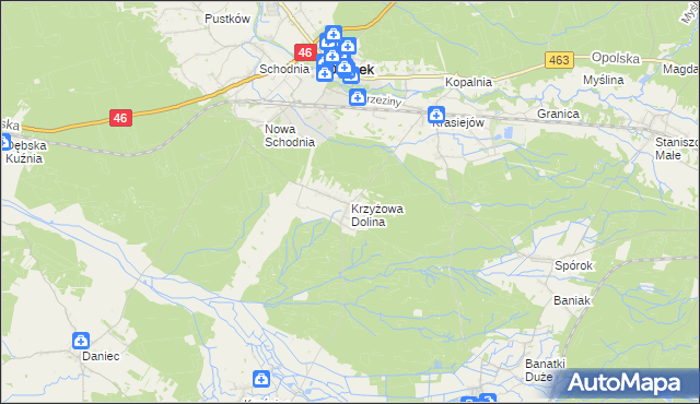 mapa Krzyżowa Dolina, Krzyżowa Dolina na mapie Targeo