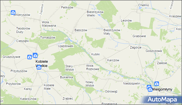 mapa Kubiki gmina Wielgomłyny, Kubiki gmina Wielgomłyny na mapie Targeo