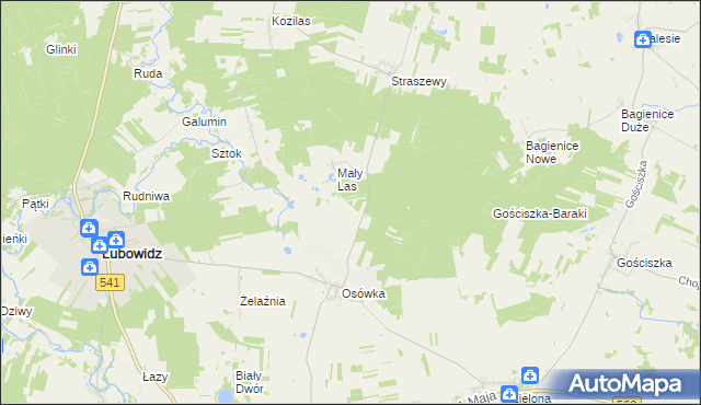 mapa Lisiny gmina Lubowidz, Lisiny gmina Lubowidz na mapie Targeo