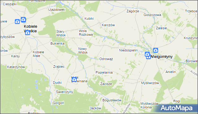 mapa Odrowąż gmina Wielgomłyny, Odrowąż gmina Wielgomłyny na mapie Targeo
