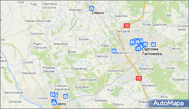 mapa Oleśnica gmina Olesno, Oleśnica gmina Olesno na mapie Targeo