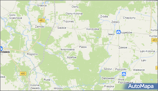 mapa Patoki gmina Widawa, Patoki gmina Widawa na mapie Targeo