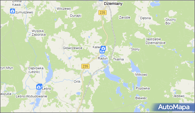 mapa Raduń gmina Dziemiany, Raduń gmina Dziemiany na mapie Targeo