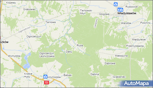 mapa Ruda gmina Tuliszków, Ruda gmina Tuliszków na mapie Targeo