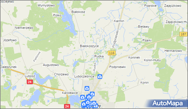 mapa Rudka gmina Pniewy, Rudka gmina Pniewy na mapie Targeo