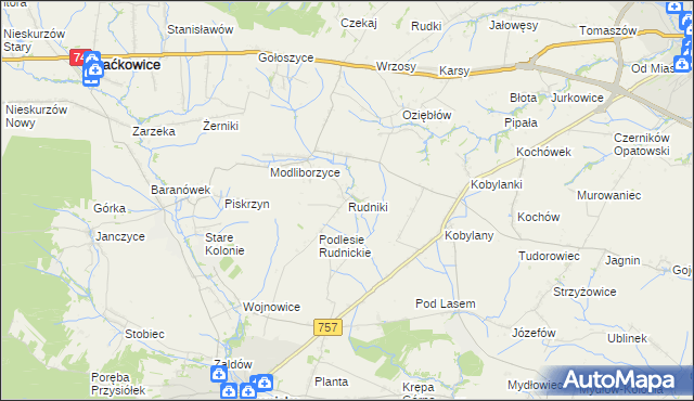 mapa Rudniki gmina Baćkowice, Rudniki gmina Baćkowice na mapie Targeo