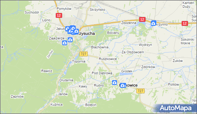 mapa Ruszkowice gmina Borkowice, Ruszkowice gmina Borkowice na mapie Targeo