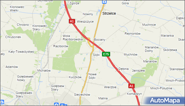 mapa Sójki gmina Strzelce, Sójki gmina Strzelce na mapie Targeo