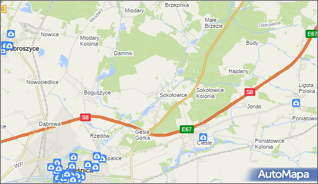 mapa Sokołowice gmina Oleśnica, Sokołowice gmina Oleśnica na mapie Targeo