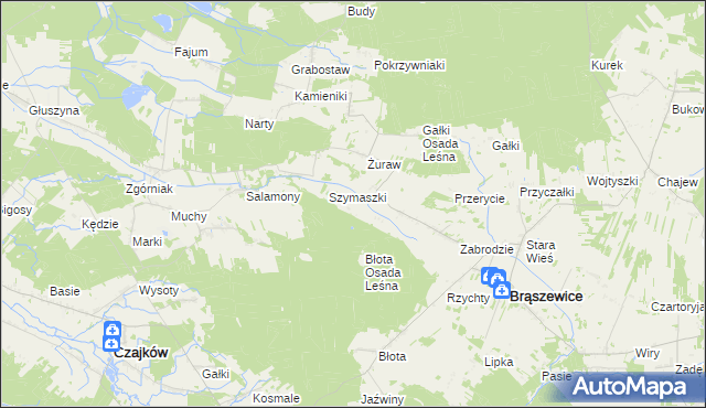 mapa Sowizdrzały gmina Brąszewice, Sowizdrzały gmina Brąszewice na mapie Targeo