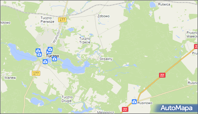 mapa Strzaliny, Strzaliny na mapie Targeo