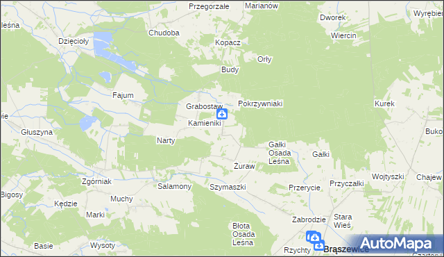 mapa Trzcinka gmina Brąszewice, Trzcinka gmina Brąszewice na mapie Targeo