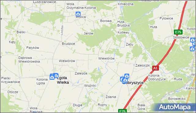 mapa Wiewiórów gmina Dobryszyce, Wiewiórów gmina Dobryszyce na mapie Targeo