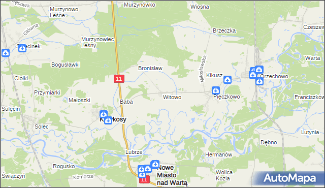 mapa Witowo gmina Krzykosy, Witowo gmina Krzykosy na mapie Targeo