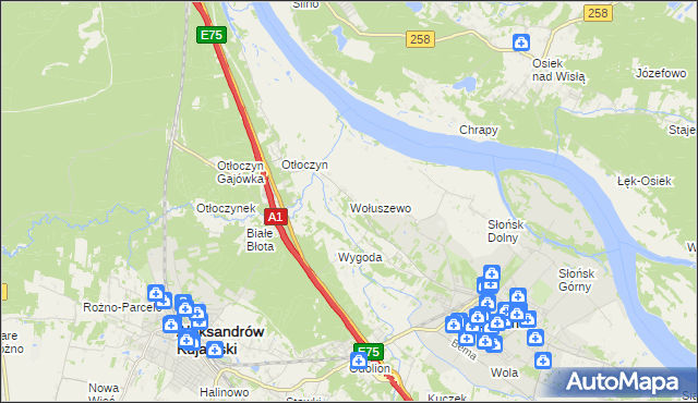 mapa Wołuszewo, Wołuszewo na mapie Targeo