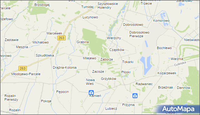 mapa Zaborze gmina Słupca, Zaborze gmina Słupca na mapie Targeo