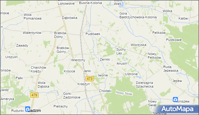 mapa Żerniki gmina Zadzim, Żerniki gmina Zadzim na mapie Targeo