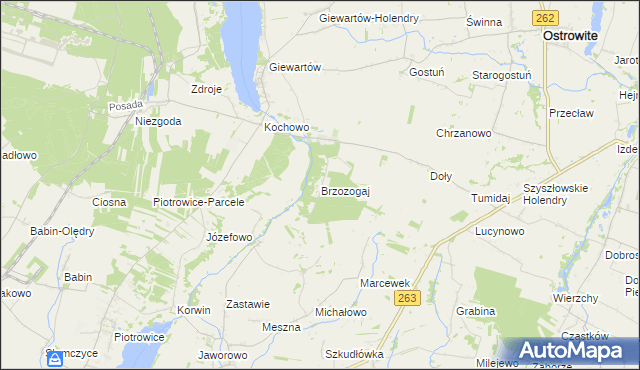 mapa Brzozogaj gmina Ostrowite, Brzozogaj gmina Ostrowite na mapie Targeo
