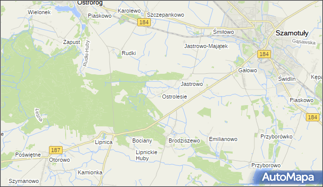 mapa Ostrolesie, Ostrolesie na mapie Targeo