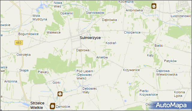 mapa Anielów gmina Sulmierzyce, Anielów gmina Sulmierzyce na mapie Targeo
