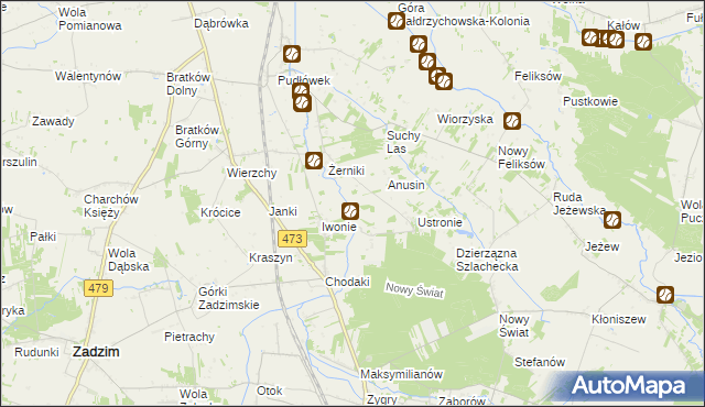 mapa Babiniec gmina Zadzim, Babiniec gmina Zadzim na mapie Targeo