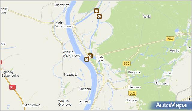 mapa Biała Góra gmina Sztum, Biała Góra gmina Sztum na mapie Targeo